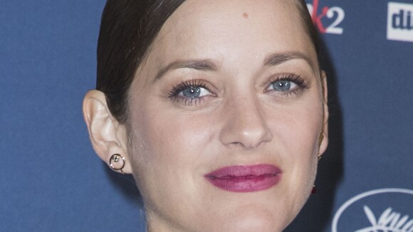 Marion Cotillard annonce sa grossesse, en plein divorce Angelina Jolie-Brad Pitt