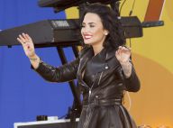 Demi Lovato, dépitée, tourne le dos au showbiz : "Ça ne vaut plus le coup..."