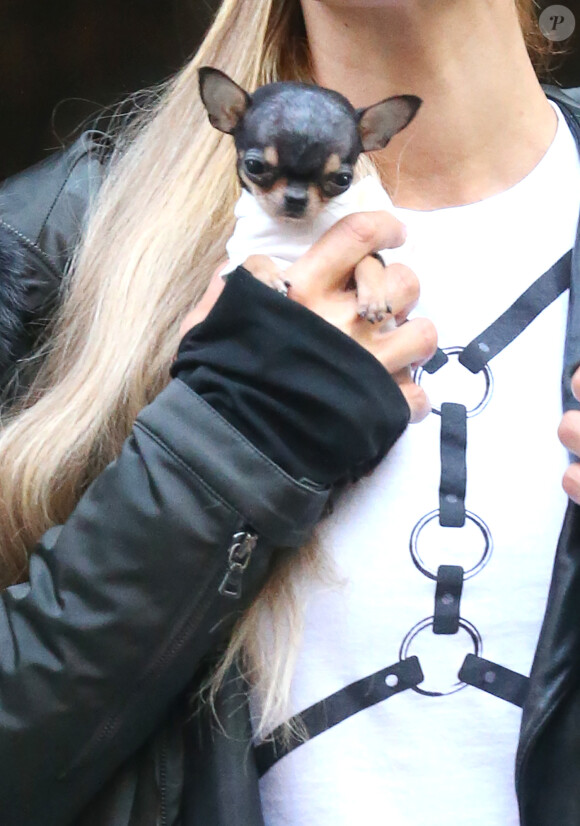 Paris Hilton se balade avec son nouveau petit chihuahua adopté pour la modique somme de 8000 dollars à New York! Le 11 octobre 2016