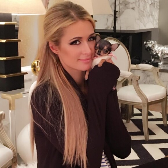 Paris Hilton présente son nouveau chihuhua (octobre 2016).