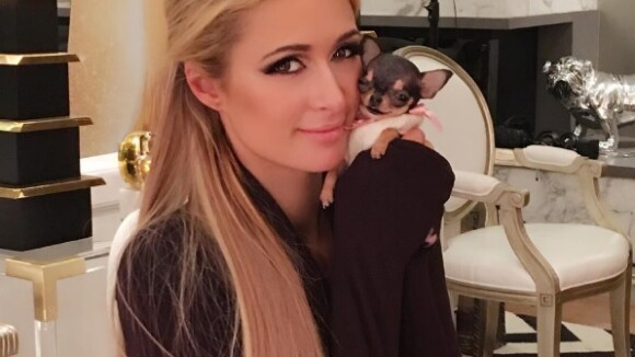 Paris Hilton : La star présente sa petite "puce d'amour" à 8000 dollars