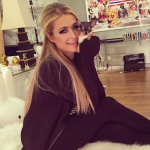 Paris Hilton présente son nouveau chihuhua (octobre 2016).