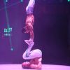Exclusif - Nouveau spectacle "Surprise" du Cirque d'Hiver Bouglione, à Paris, le 8 octobre 2016. ©CVS/Bestimage