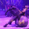 Exclusif - Nouveau spectacle "Surprise" du Cirque d'Hiver Bouglione, à Paris, le 8 octobre 2016. ©CVS/Bestimage
