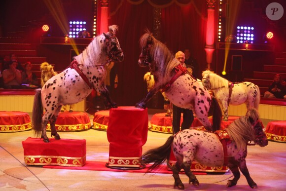 Exclusif - Nouveau spectacle "Surprise" du Cirque d'Hiver Bouglione, à Paris, le 8 octobre 2016. ©CVS/Bestimage