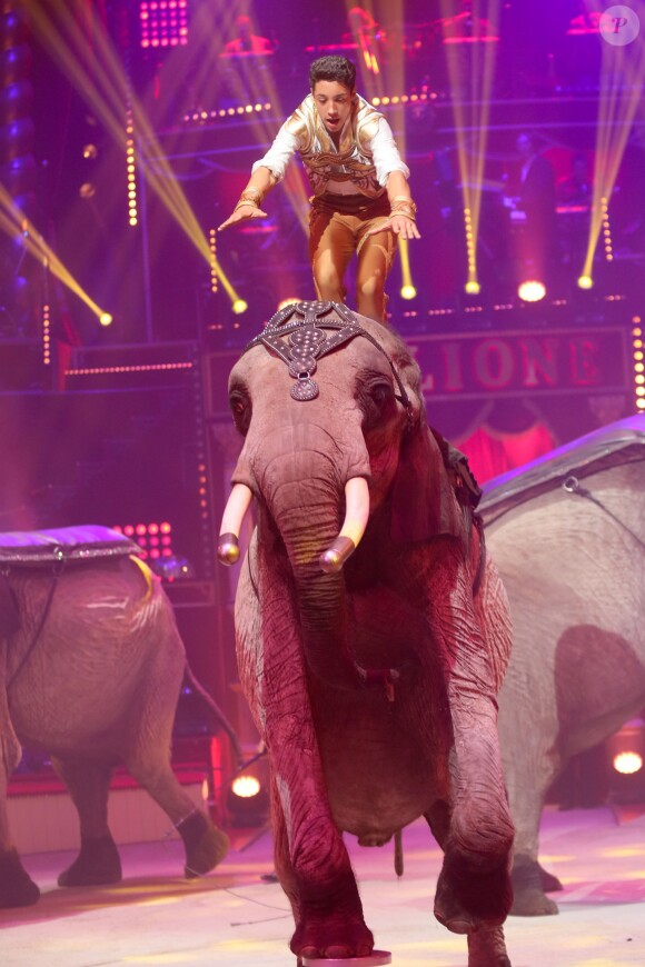 Exclusif - Nouveau spectacle "Surprise" du Cirque d'Hiver Bouglione, à Paris, le 8 octobre 2016. ©CVS/Bestimage