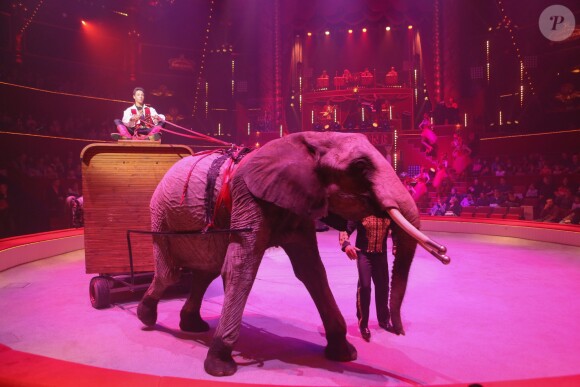 Exclusif - Nouveau spectacle "Surprise" du Cirque d'Hiver Bouglione, à Paris, le 8 octobre 2016. ©CVS/Bestimage
