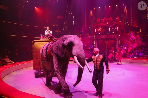 Exclusif - Nouveau spectacle "Surprise" du Cirque d'Hiver Bouglione, à Paris, le 8 octobre 2016. ©CVS/Bestimage