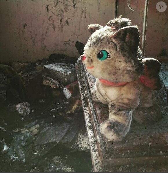 Camille Lou poste une photo de l'une des ses peluches pour annoncer l'incendie qui a ravagé la maison de ses parents, le 9 octobre 2016, sur Instagram
