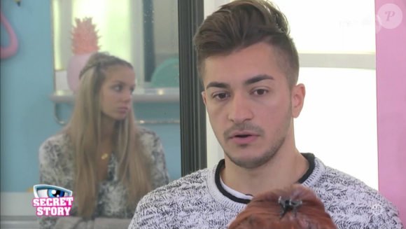 "Secret Story 10", la quotidienne du mercredi 26 octobre 2016 sur NT1.