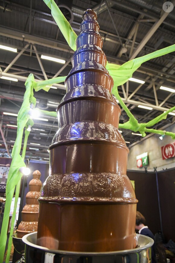 Illustration au 22ème salon du chocolat à la porte de Versailles à Paris le 27 octobre 2016. (coiffures Franck Provost / maquillages Make Up For Ever) © Veeren-Perusseau/Bestimage