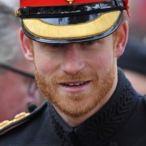 Le prince Harry se joignait à son grand-père le duc d'Edimbourg lors de la cérémonie commémorative du "Field of Remembrance" à l'abbaye de Westminster à Londres, le 10 novembre 2016, en présence de vétérans de guerre.