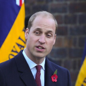 Le prince William prenait part au service commémoratif Fields of Remembrance dans le parc du mémorial de Kensington à Londres, le 10 novembre 2016.