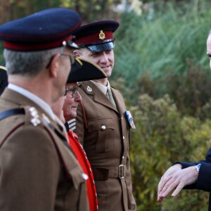 Le prince William prenait part au service commémoratif Fields of Remembrance dans le parc du mémorial de Kensington à Londres, le 10 novembre 2016.