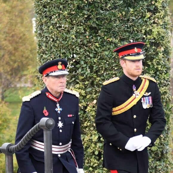 Le prince Harry préside la commémoration de l'Armistice au National memorial Arboretum à Stafford, Royaume Uni, le 11 novembre 2016.
