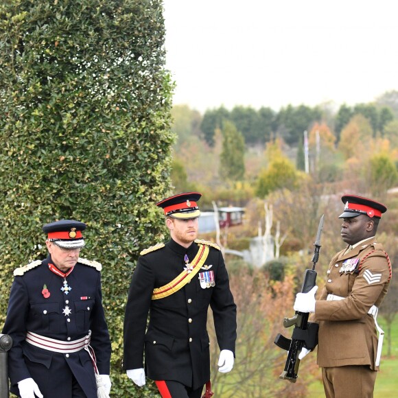 Le prince Harry préside la commémoration de l'Armistice au National memorial Arboretum à Stafford, Royaume Uni, le 11 novembre 2016.