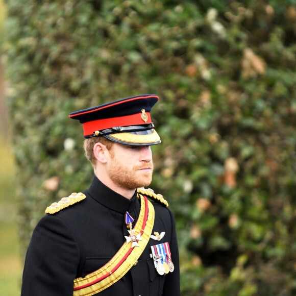 Le prince Harry préside la commémoration de l'Armistice au National memorial Arboretum à Stafford, Royaume Uni, le 11 novembre 2016.