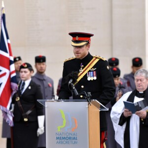 Le prince Harry préside la commémoration de l'Armistice au National memorial Arboretum à Stafford, Royaume Uni, le 11 novembre 2016.