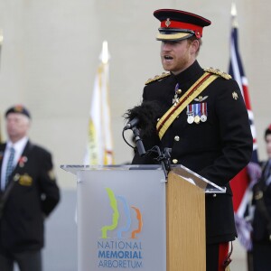 Le prince Harry préside la commémoration de l'Armistice au National memorial Arboretum à Stafford, Royaume Uni, le 11 novembre 2016.