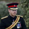 Le prince Harry préside la commémoration de l'Armistice au National memorial Arboretum à Stafford, Royaume Uni, le 11 novembre 2016.