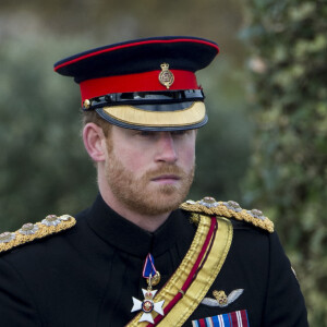 Le prince Harry préside la commémoration de l'Armistice au National memorial Arboretum à Stafford, Royaume Uni, le 11 novembre 2016.