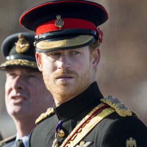 Le prince Harry préside la commémoration de l'Armistice au National memorial Arboretum à Stafford, Royaume Uni, le 11 novembre 2016.