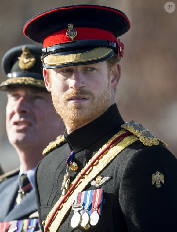 Le prince Harry préside la commémoration de l'Armistice au National memorial Arboretum à Stafford, Royaume Uni, le 11 novembre 2016.