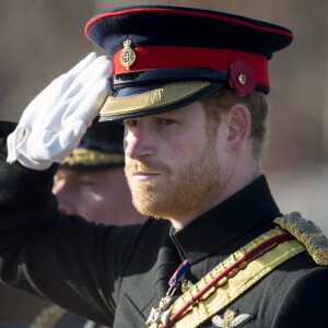 Le prince Harry préside la commémoration de l'Armistice au National memorial Arboretum à Stafford, Royaume Uni, le 11 novembre 2016.