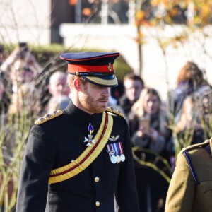Le prince Harry préside la commémoration de l'Armistice au National memorial Arboretum à Stafford, Royaume Uni, le 11 novembre 2016.