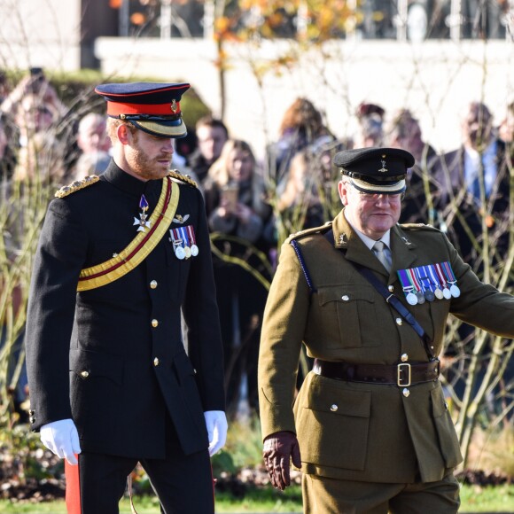 Le prince Harry préside la commémoration de l'Armistice au National memorial Arboretum à Stafford, Royaume Uni, le 11 novembre 2016.