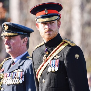 Le prince Harry préside la commémoration de l'Armistice au National memorial Arboretum à Stafford, Royaume Uni, le 11 novembre 2016.