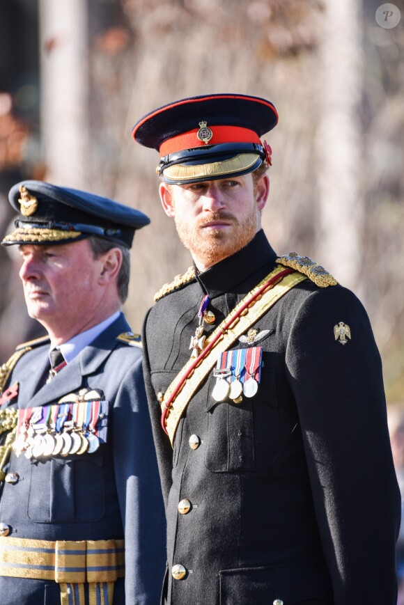 Le prince Harry préside la commémoration de l'Armistice au National memorial Arboretum à Stafford, Royaume Uni, le 11 novembre 2016.