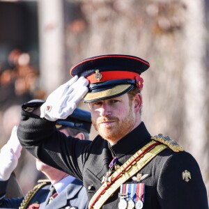 Le prince Harry préside la commémoration de l'Armistice au National memorial Arboretum à Stafford, Royaume Uni, le 11 novembre 2016.