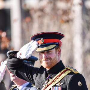 Le prince Harry préside la commémoration de l'Armistice au National memorial Arboretum à Stafford, Royaume Uni, le 11 novembre 2016.