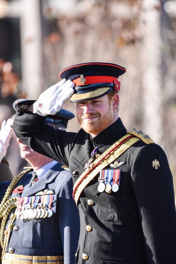 Le prince Harry préside la commémoration de l'Armistice au National memorial Arboretum à Stafford, Royaume Uni, le 11 novembre 2016.
