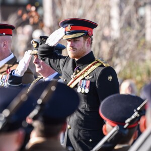 Le prince Harry préside la commémoration de l'Armistice au National memorial Arboretum à Stafford, Royaume Uni, le 11 novembre 2016.