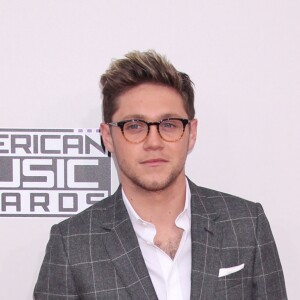 Niall Horan lors des American Music Awards 2016 au thééatre Microsoft à Los Angeles le 20 novembre 2016.