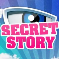 Secret Story : Un ex de la saison 7 bientôt dans DALS ? Il aimerait bien...