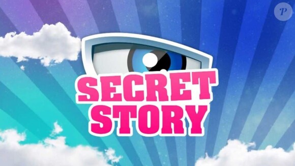 "Secret Story 7" : Une candidate enceinte de son premier enfant