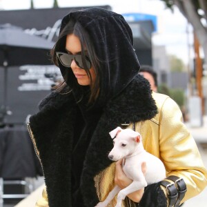 Kendall Jenner dans les rues de Los Angeles, le 2 janvier 2017