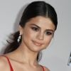 Selena Gomez - People au "American Music Awards 2016" au théâtre Microsoft à Los Angeles. Le 20 novembre 2016