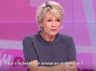 Sophie Davant : Agacée, elle s'en prend à son chroniqueur...
