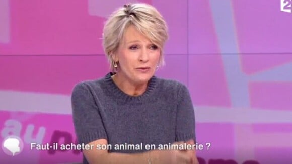 Sophie Davant demande des explications à un chroniqueur dans C'est au programme sur France 2, le 3 février 2017
