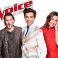 Les coachs de "The Voice 6" !
