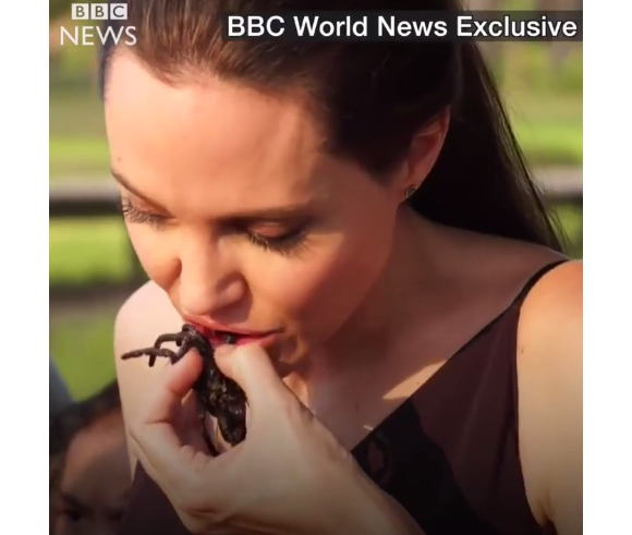 Angelina Jolie cuisinant des insectes au Cambodge avec ses enfants devant les caméras de la BBC (images diffusées le 20 février 2017).