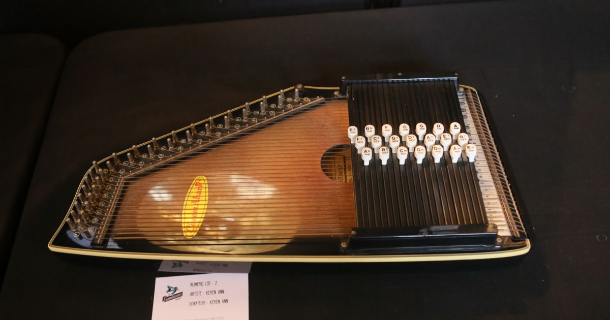 Semi-exclusif - Autoharp de Keren Ann - Vente aux enchères caritative The humming birds project ...