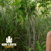 Koh-Lanta Cambodge, épisode du 5 mai 2017 sur TF1.