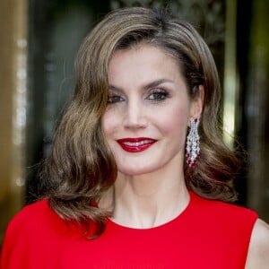 La reine Letizia d'Espagne en Stella McCartney le 29 avril 2017 à La Haye pour le dîner privé organisé à l'occasion des 50 ans du roi Willem-Alexander des Pays-Bas.