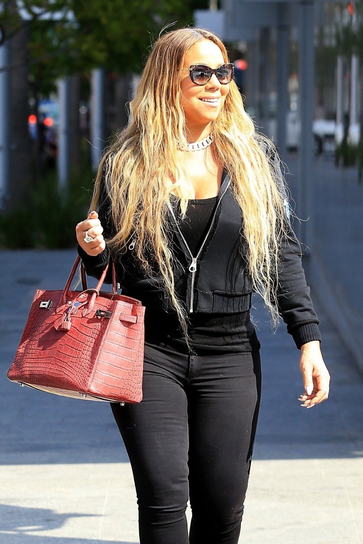 Mariah best sale carey birkin