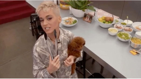 Katy Perry accusée de cruauté animale : Son chien Nugget dans la tourmente